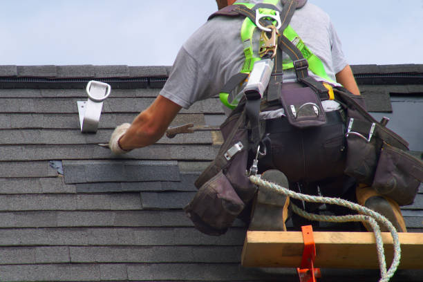Best Roof Leak Repair  in Cottonde, AL