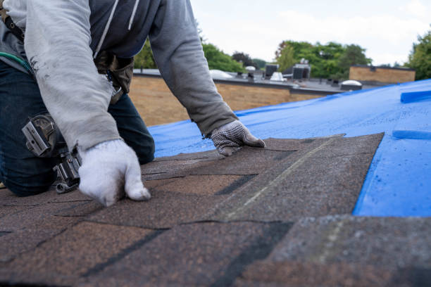 Best Storm Damage Roof Repair  in Cottonde, AL