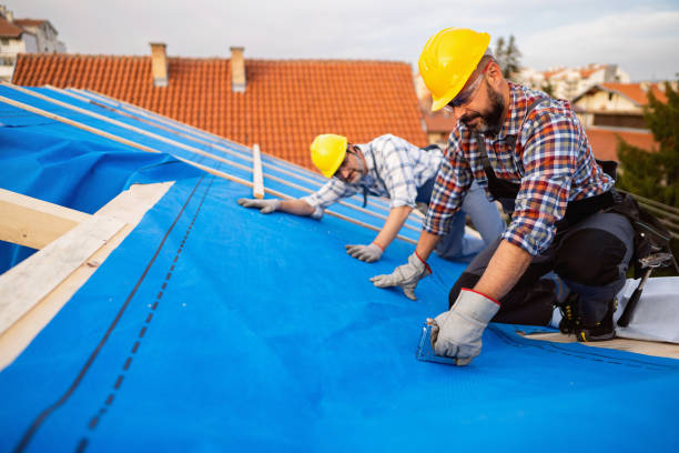 Best Roof Repair Services  in Cottonde, AL