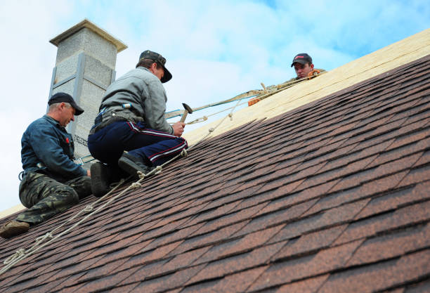 Best Best Roofing Contractors  in Cottonde, AL